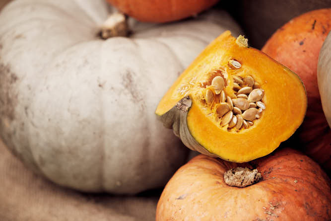 Photography Portfolio by P-O-L-O: Caulfield-Farmers-Market-Pumpkins-